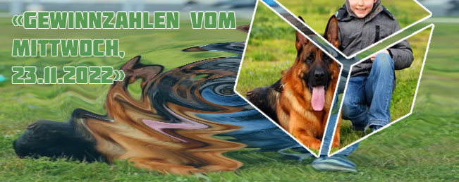 Lottoergebnisse vom mittwoch